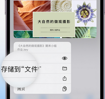 桑植apple维修中心分享iPhone文件应用中存储和找到下载文件