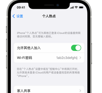 桑植apple服务站点分享iPhone上个人热点丢失了怎么办