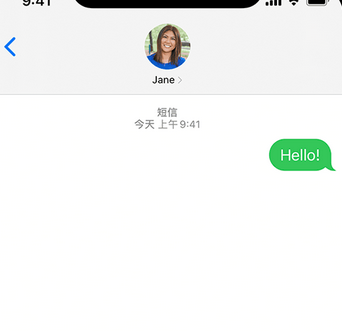 桑植apple维修iPhone上无法正常发送iMessage信息