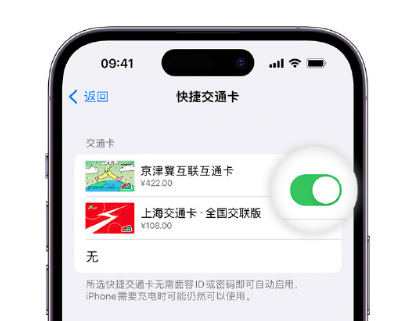 桑植apple维修点分享iPhone上更换Apple Pay快捷交通卡手绘卡面 