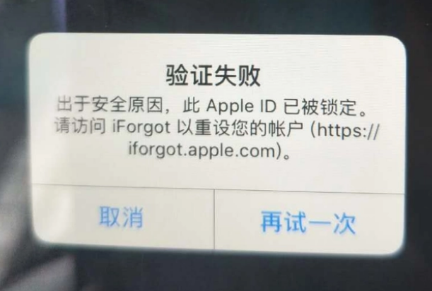 桑植iPhone维修分享iPhone上正常登录或使用AppleID怎么办 