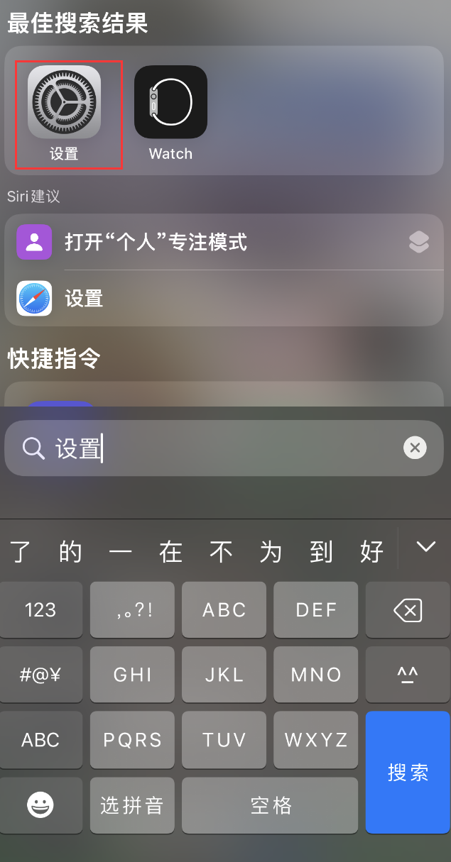 桑植苹果手机维修分享：iPhone 找不到“设置”或“App Store”怎么办？ 