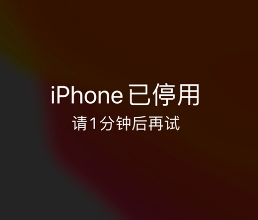 桑植苹果手机维修分享:iPhone 显示“不可用”或“已停用”怎么办？还能保留数据吗？ 