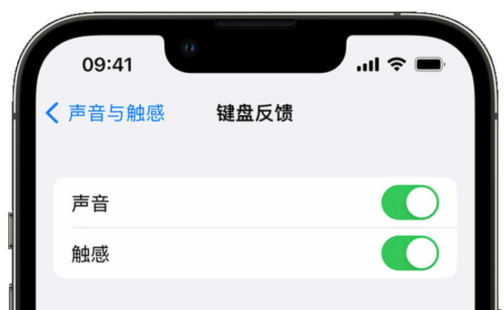 桑植苹果手机维修分享iPhone 14触感键盘使用方法 