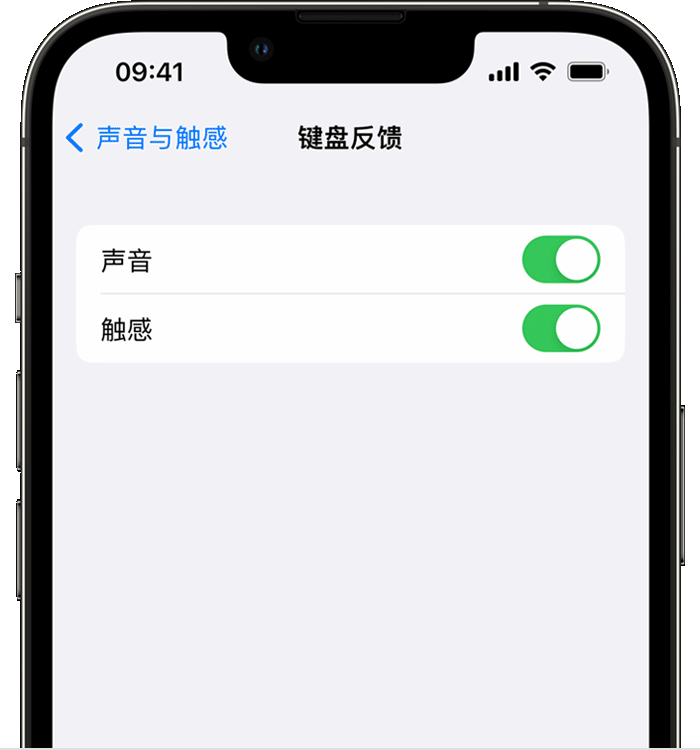 桑植苹果14维修店分享如何在 iPhone 14 机型中使用触感键盘 