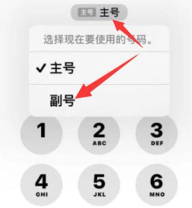 桑植苹果14维修店分享iPhone 14 Pro Max使用副卡打电话的方法 