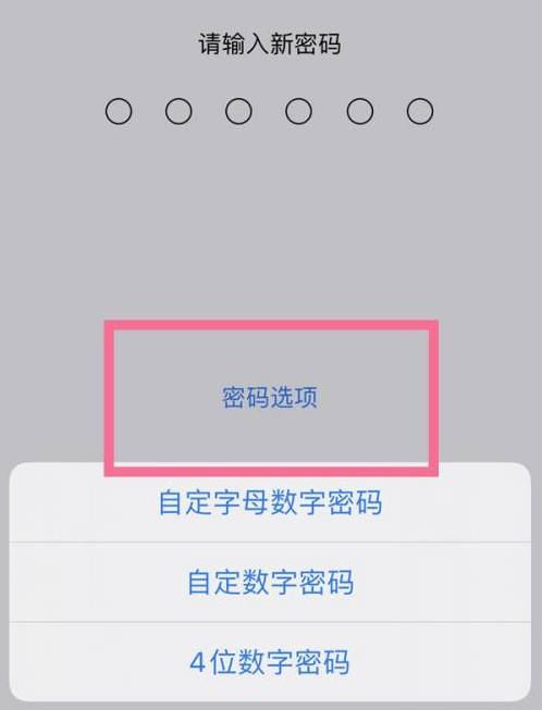 桑植苹果14维修分享iPhone 14plus设置密码的方法 