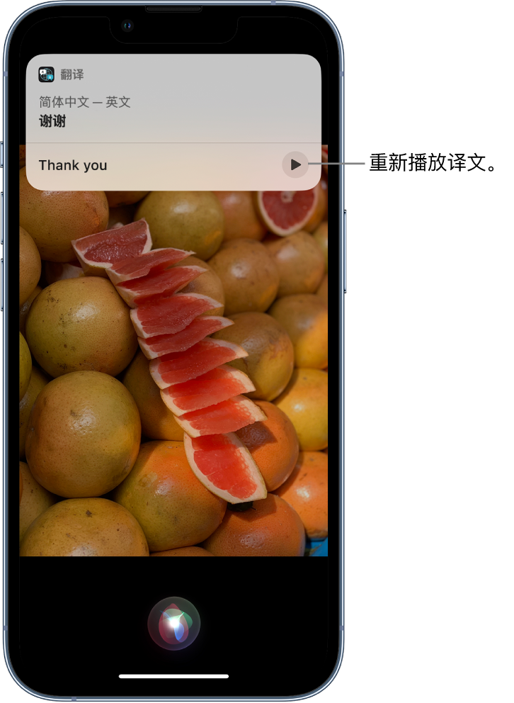 桑植苹果14维修分享 iPhone 14 机型中使用 Siri：了解 Siri 能帮你做什么 