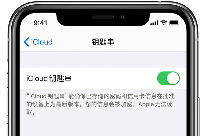 桑植苹果手机维修分享在 iPhone 上开启 iCloud 钥匙串之后会储存哪些信息 