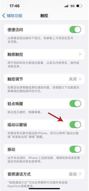 桑植苹果手机维修分享iPhone手机如何设置摇一摇删除文字 