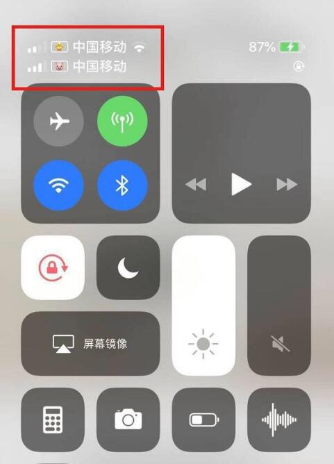 桑植苹果手机维修分享为 iPhone 12 双卡设置标签 